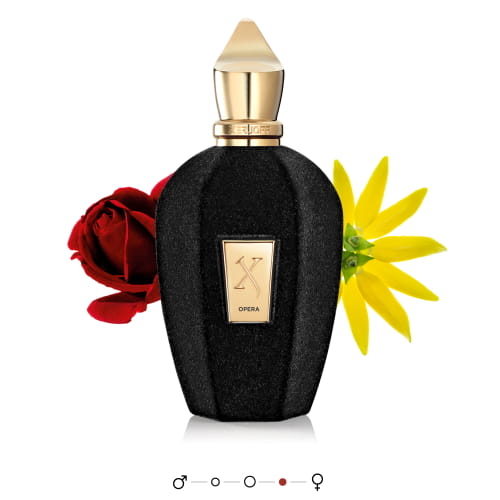 Xerjoff Opera 50ml EDP