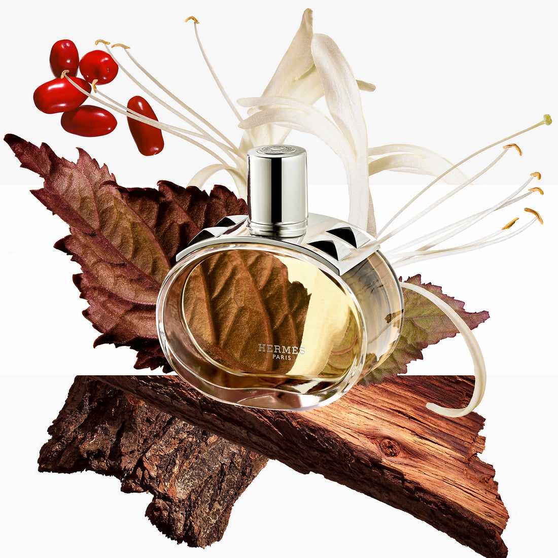 HERMÈS Barenia 100ml EDP
