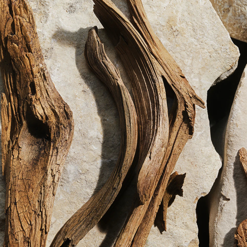 Dolce Gabbana Light Blue Woman 100ml EDT