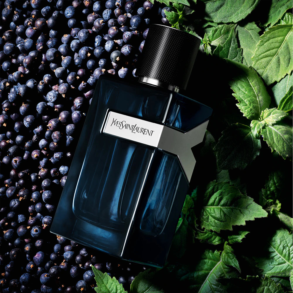 Yves Saint Laurent Y Live 100ml EDT Intense